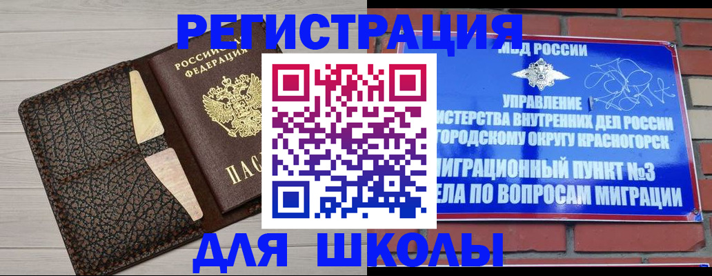 прописка в Вольске